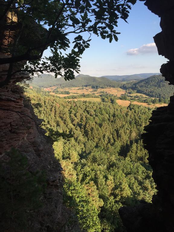 Fewo-Franca Дан Экстерьер фото